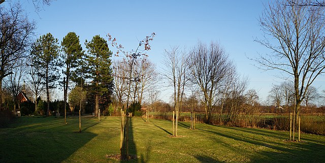 Feld für die Baumbestattungen in Groß Rheide