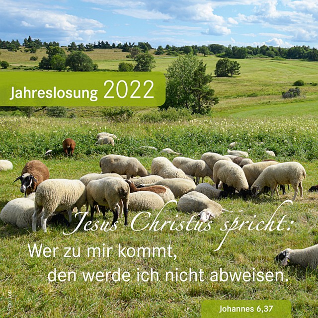 Jahreslosung 2022 - Grafik: Lotz  / gemeindebrief.de